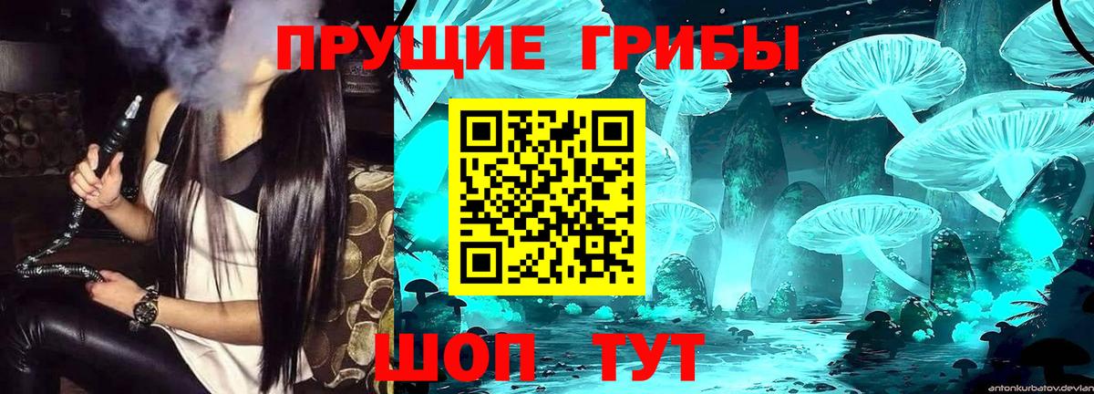 Галлюциногенные грибы Cubensis Спасск-Дальний