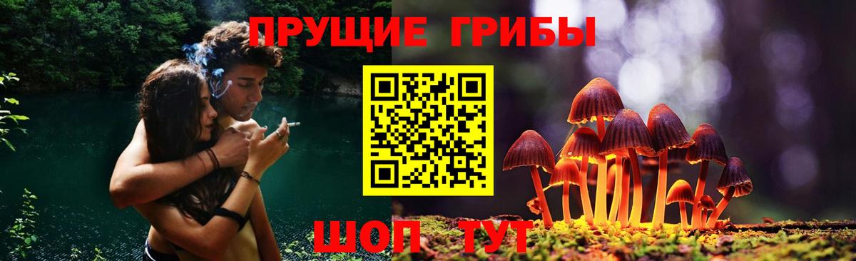 Псилоцибиновые грибы ЛСД  Вход с VPN  даркнет сайт  Галлюциногенные грибы Cubensis  Спасск-Дальний 